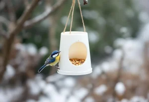 Arrêtez de jeter ce pot en plastique : les oiseaux en raffolent en hiver